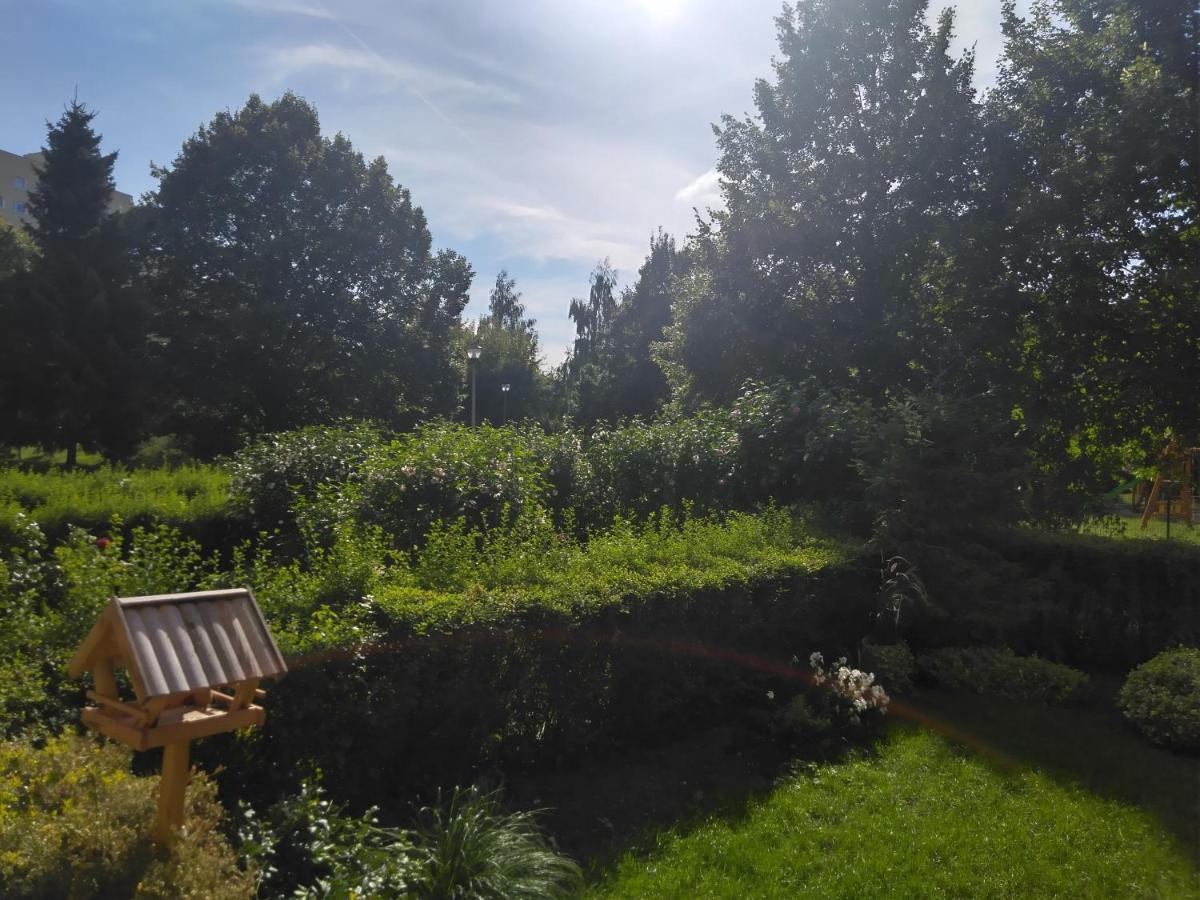 Apartment Sunforyou 2